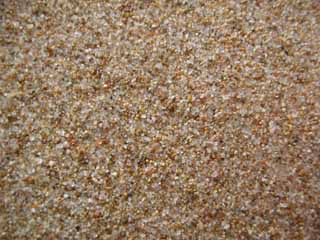 Playa de Xaraco, Gandia